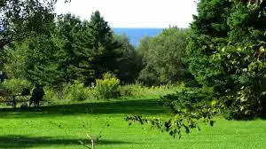 Landscape image of Courtice, Ontario.